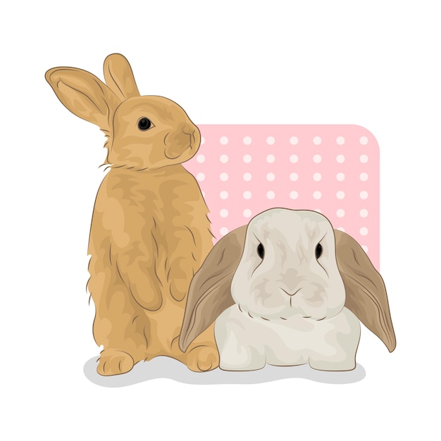 Ilustración de un conejo