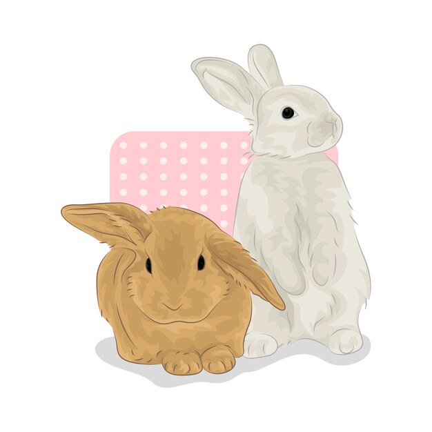 Ilustración de un conejo