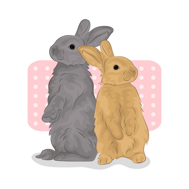 Ilustración de un conejo