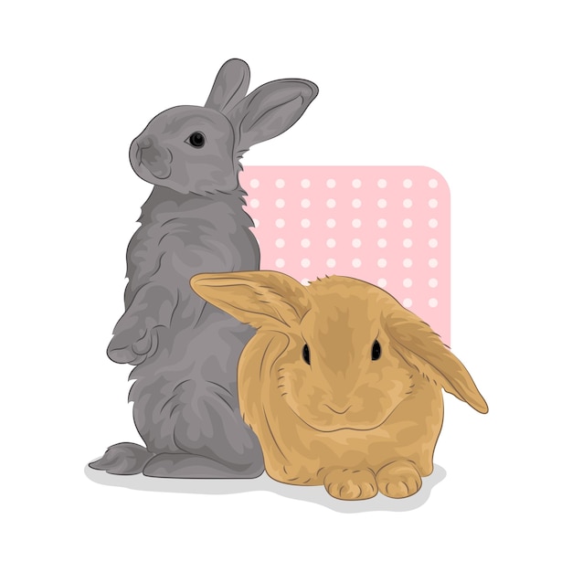 Ilustración de un conejo