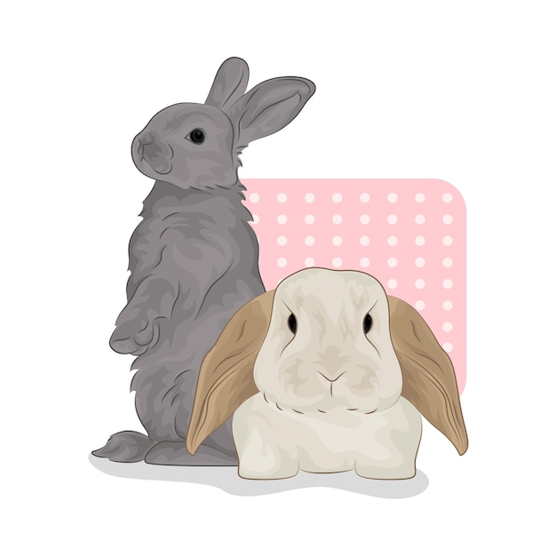 Ilustración de un conejo
