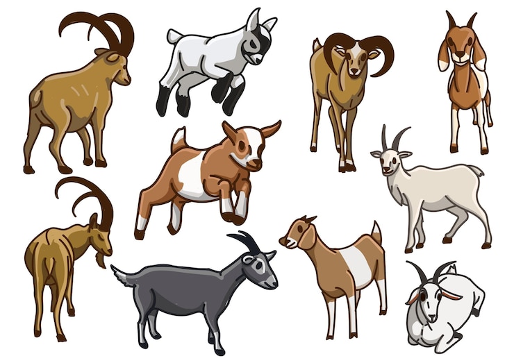 Vector ilustración de conjunto de caracteres de dibujos animados de cabra dibujado a mano