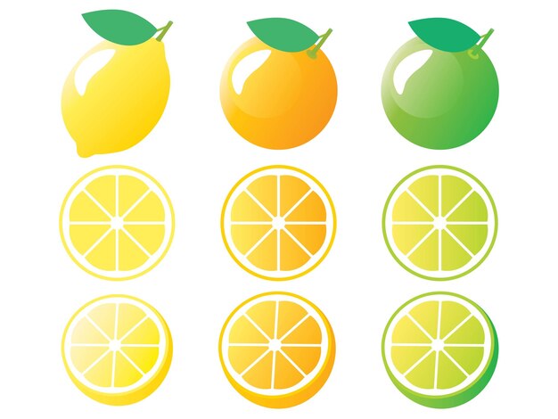Ilustración de conjunto de cítricos de naranja limón y lima