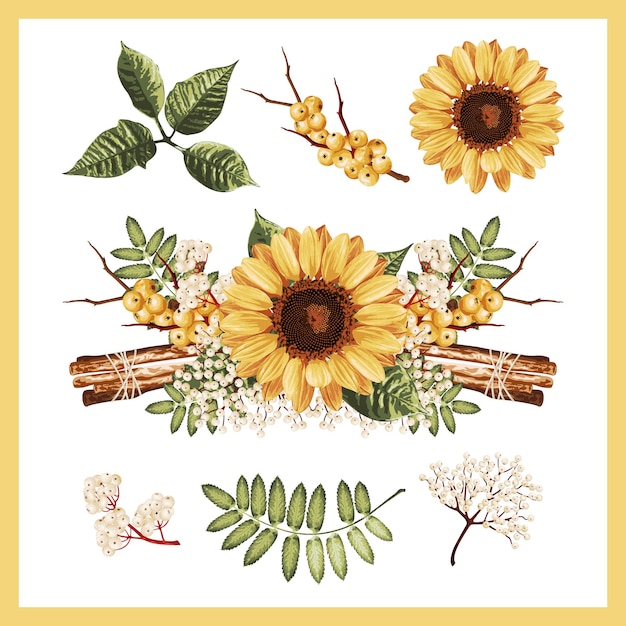 Vector ilustración de un conjunto de flores de girasol brillantes.