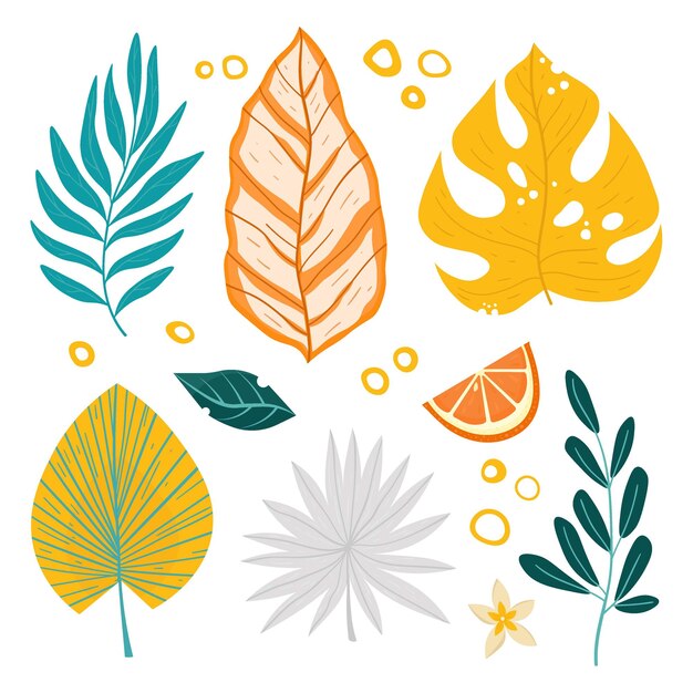 Ilustración de conjunto de hojas tropicales