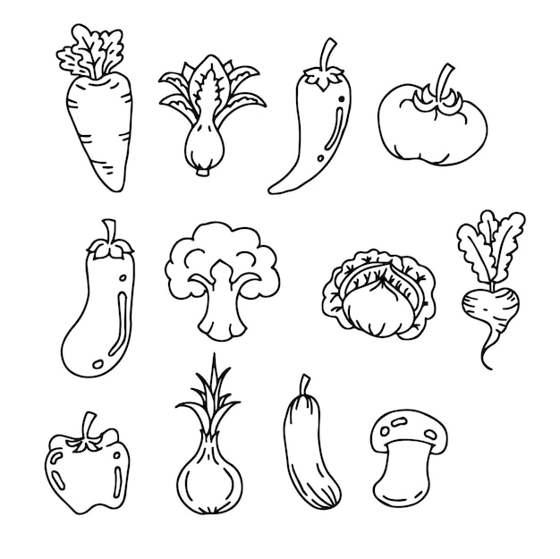 Ilustración de conjunto vegetal de contorno vectorial