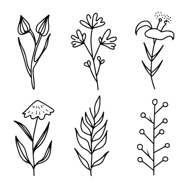 Ilustración de conjuntos de flores de dibujos vectoriales gratuitos