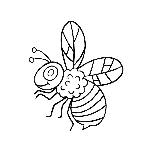 Ilustración del contorno de la abeja dibujada a mano