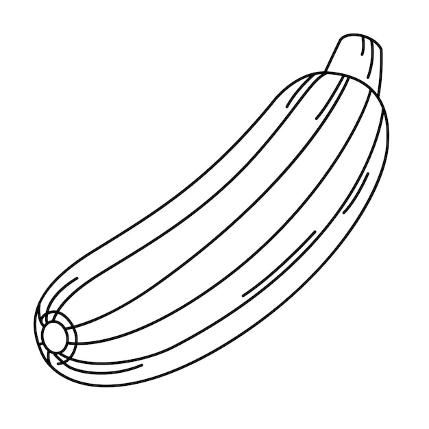 Ilustración de un contorno de calabacín colorido blanco en el vector de fondo