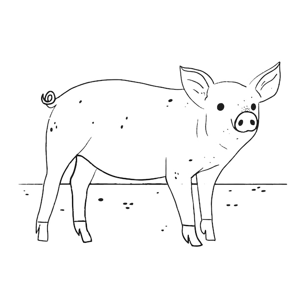 Vector ilustración de contorno de cerdo dibujado a mano