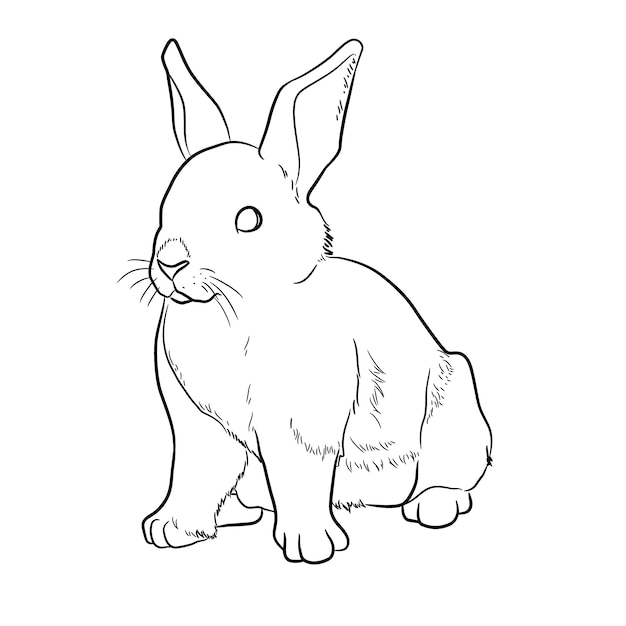 Ilustración del contorno del conejo dibujado a mano