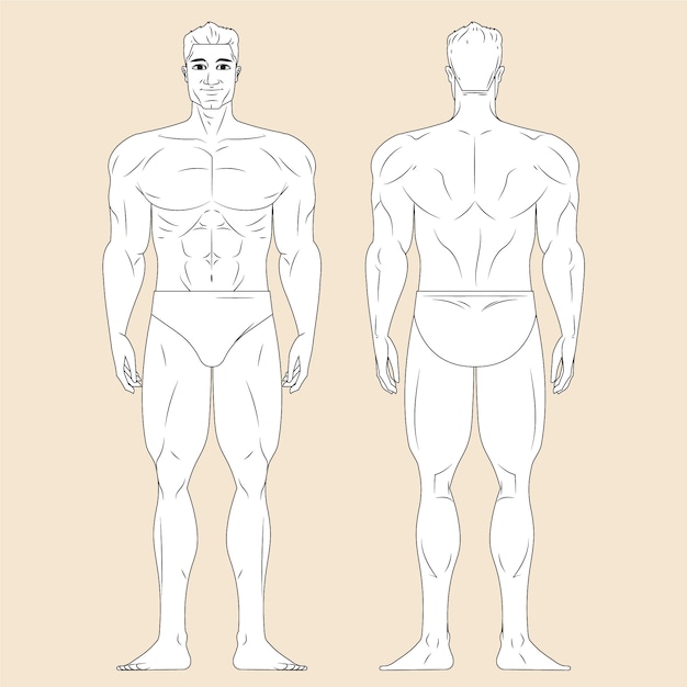 Vector ilustración de contorno de cuerpo humano dibujado a mano