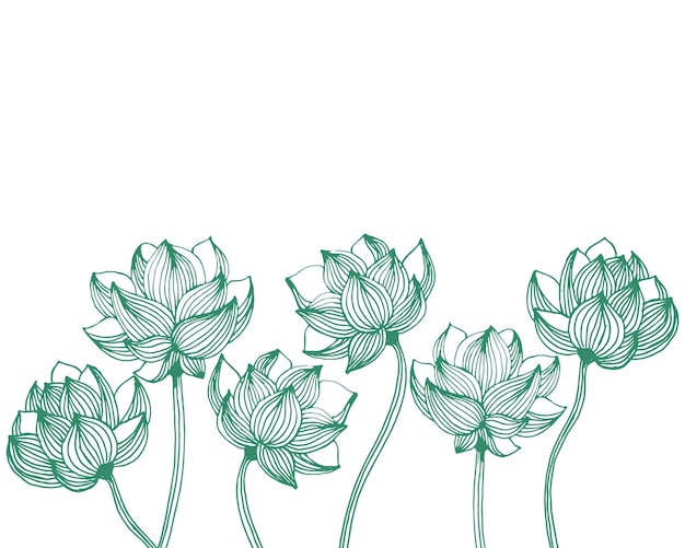 ilustración contorno dibujado a mano flores sombreadas contorno verde sobre un fondo blanco