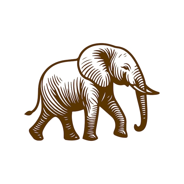 Vector ilustración del contorno de un elefante dibujada a mano