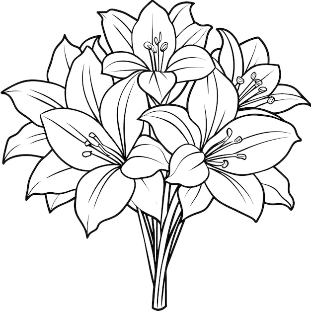 Ilustración del contorno de la flor de Amaryllis diseño de la página del libro de colorear