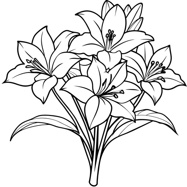 Ilustración del contorno de la flor de Amaryllis diseño de la página del libro de colorear