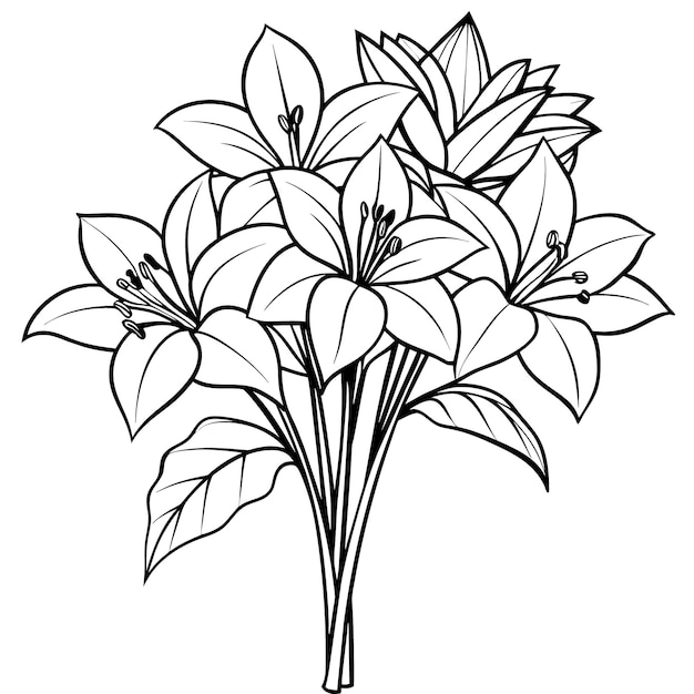 Ilustración del contorno de la flor de Amaryllis diseño de la página del libro de colorear