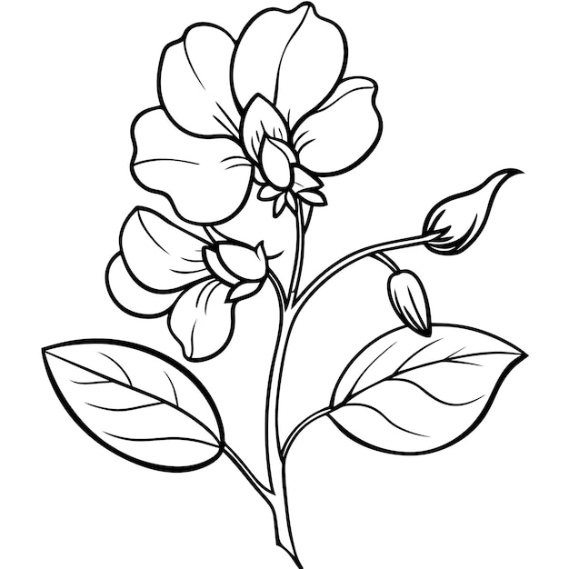Ilustración del contorno de la flor de girasol diseño de la página del libro de colorear la flor de gira-sol en blanco y negro