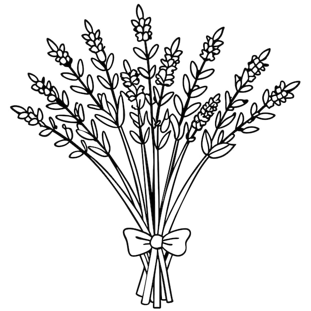 Ilustración del contorno de la flor de lavanda diseño de la página del libro de colorear Lavanda arte de línea en blanco y negro dr