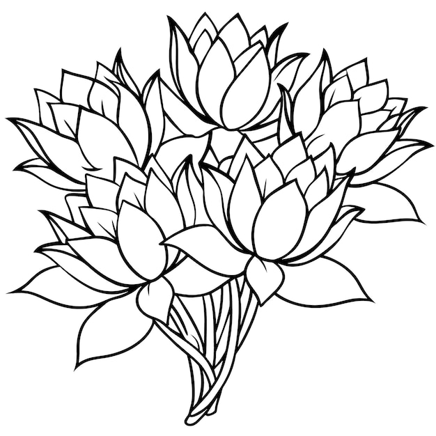 Ilustración del contorno de la flor de loto diseño de la página del libro de colorear arte de líneas en blanco y negro de la flores de loto