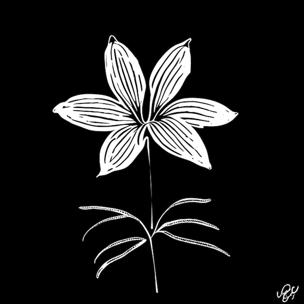 Ilustración de contorno de flor simple dibujada a mano Ilustración vectorial grabado