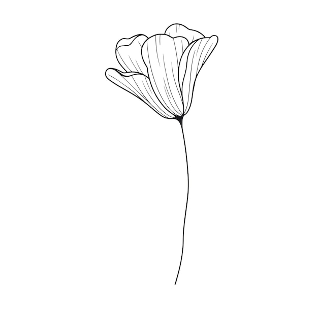 Ilustración de contorno de flor simple dibujada a mano sobre un fondo blanco