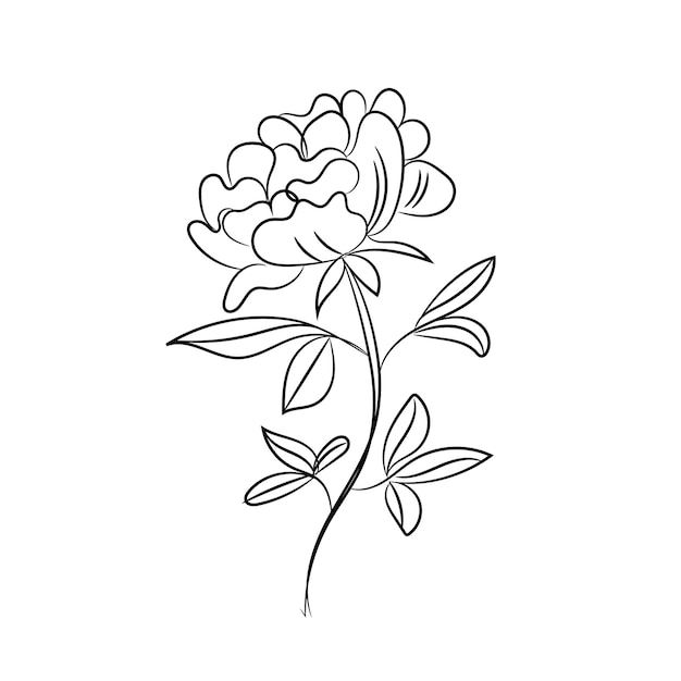 Ilustración de contorno de flor simple dibujada a mano por vector libre