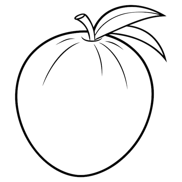 Ilustración del contorno de la fruta de la palma tropical
