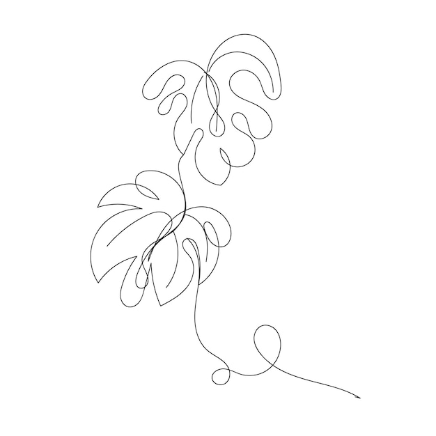 Ilustración del contorno de la hoja de monstera dibujada a mano