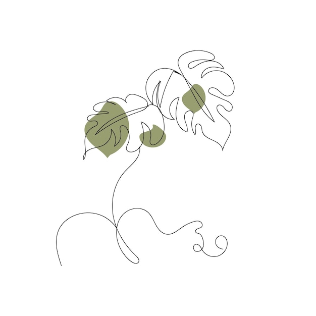 Ilustración del contorno de la hoja de monstera dibujada a mano