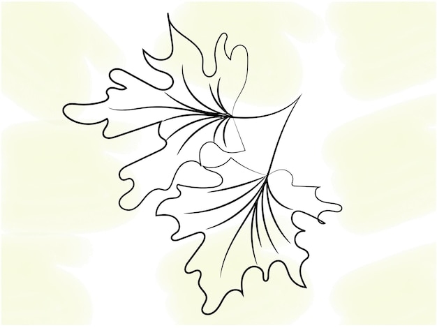 Ilustración del contorno de la hoja de monstera dibujada a mano