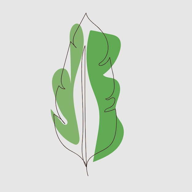 Vector ilustración del contorno de una hoja de monstera dibujada a mano