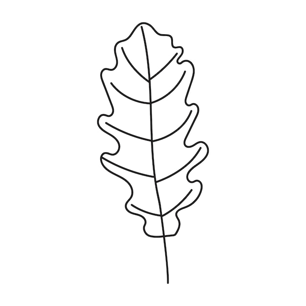 Ilustración del contorno de la hoja de roble