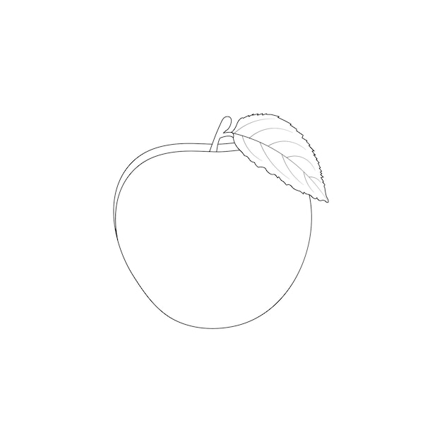Ilustración del contorno de la manzana dibujada a mano
