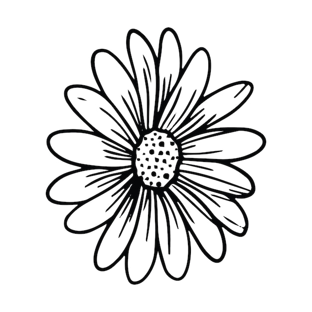 Ilustración de contorno de margarita dibujada a mano