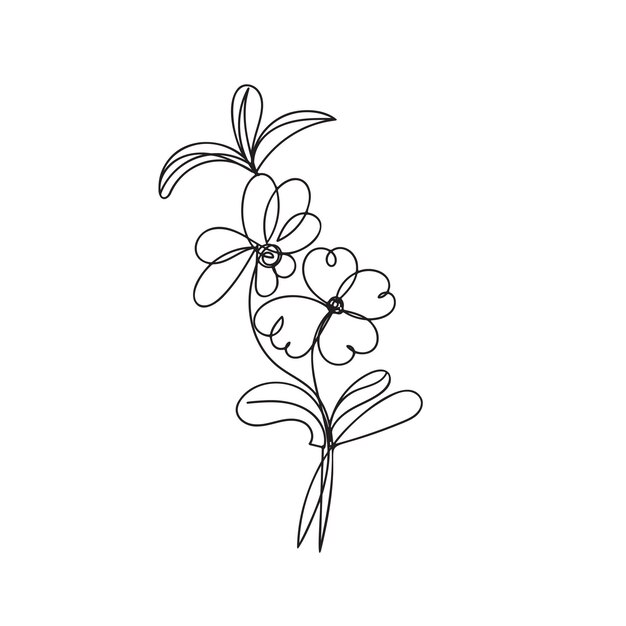 Ilustración del contorno de la orquídea dibujada a mano