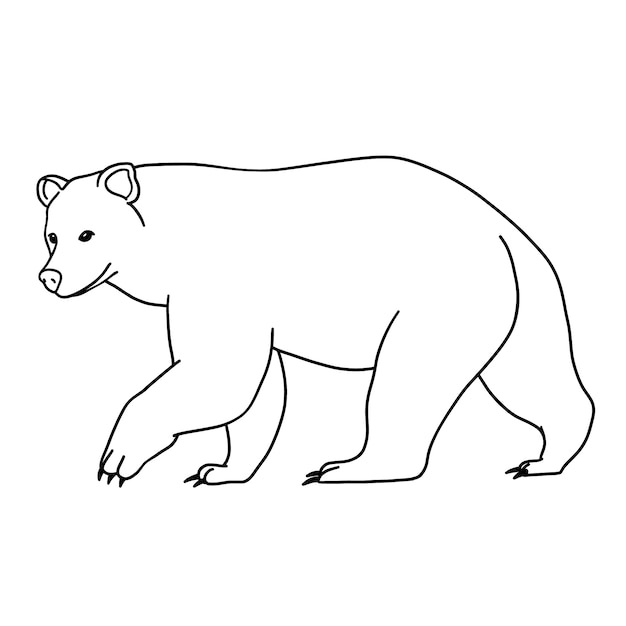 Vector ilustración de contorno de oso dibujado a mano