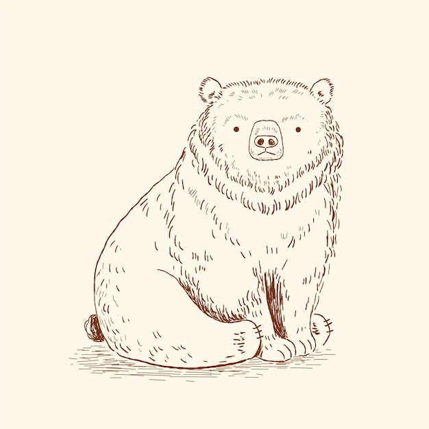 Vector ilustración de contorno de oso dibujado a mano