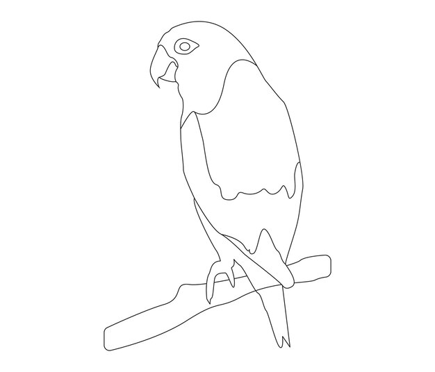 Ilustración de contorno de pájaro dibujada a mano y vector de arte de líneas