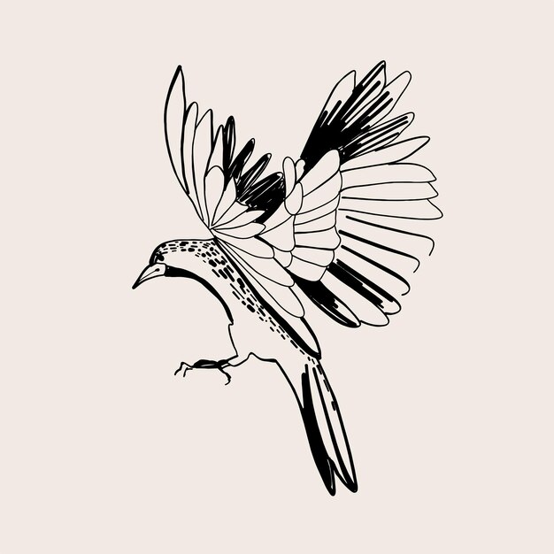 Ilustración del contorno de un pájaro dibujada a mano