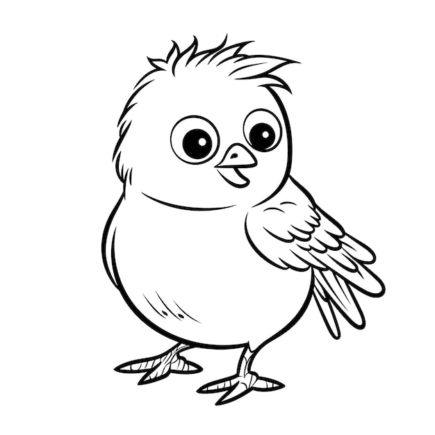 Ilustración de contorno de pájaro dibujado a mano Pájaro lindo para niños página para colorear Blanco y negro