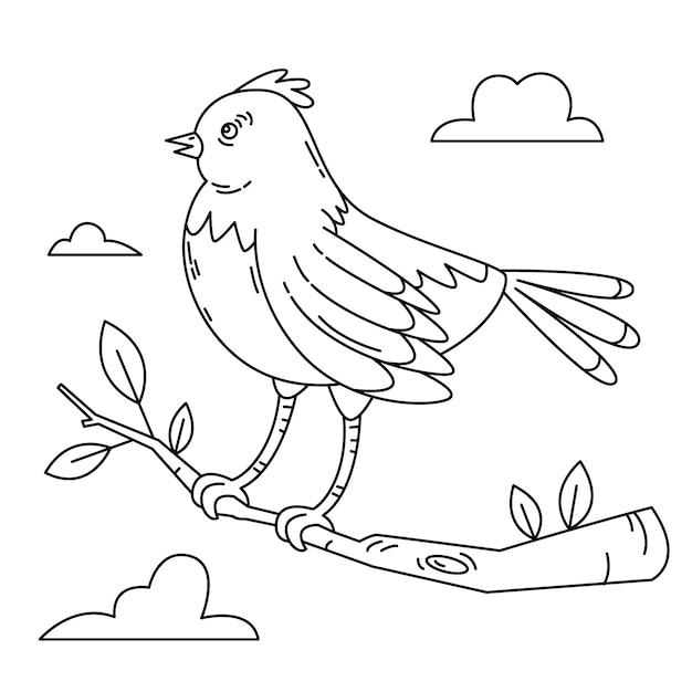 Vector ilustración de contorno de pájaro dibujado a mano