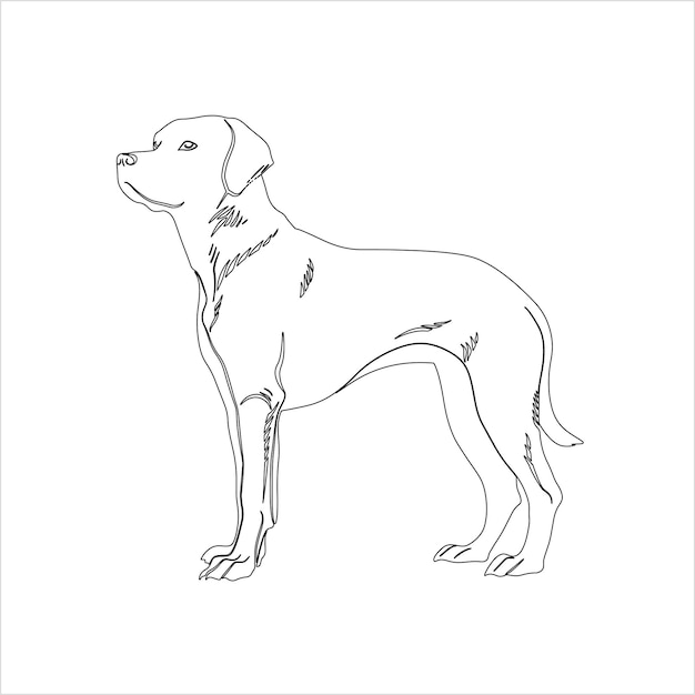 Ilustración del contorno del perro dibujada a mano