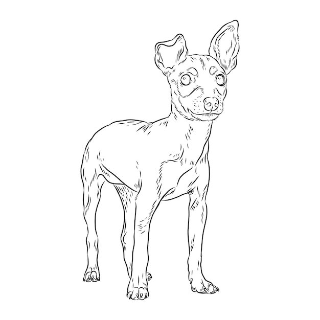 Vector ilustración de contorno de perro dibujado a mano