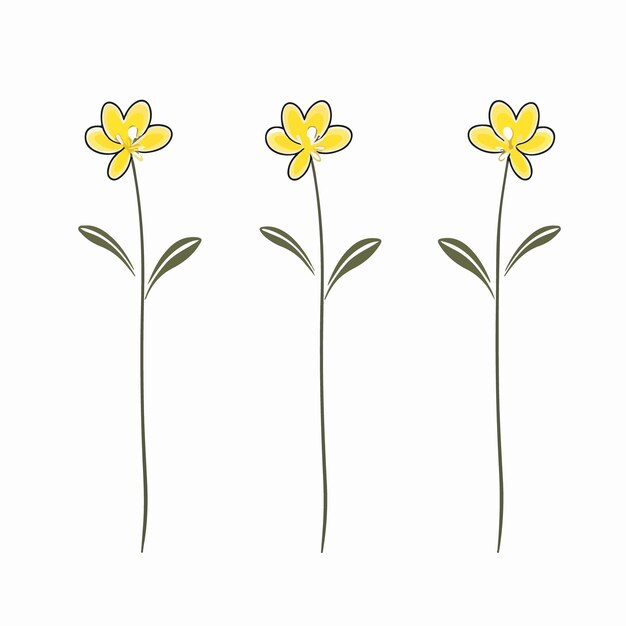 Ilustración de contorno de prímula minimalista