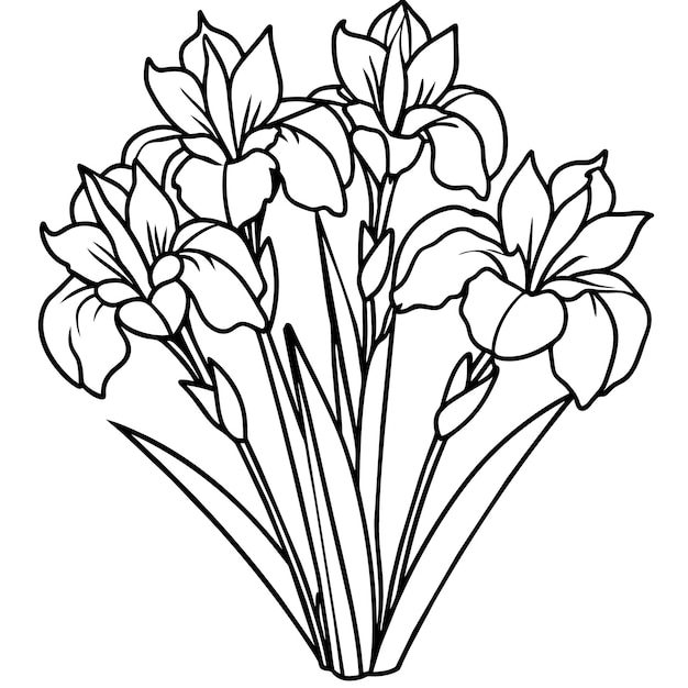 Ilustración del contorno del ramo de flores de iris diseño de la página del libro de colorear