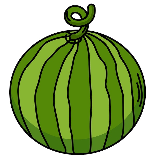 Ilustración del contorno de la sandía blanca en el vector de fondo