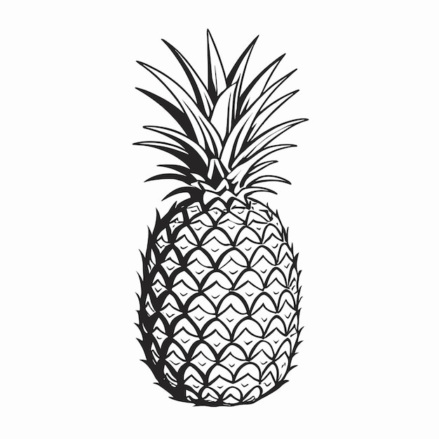 Ilustración de contorno de silueta de dibujo de piña