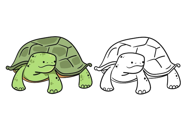 Vector ilustración de contorno de tortuga dibujada a mano