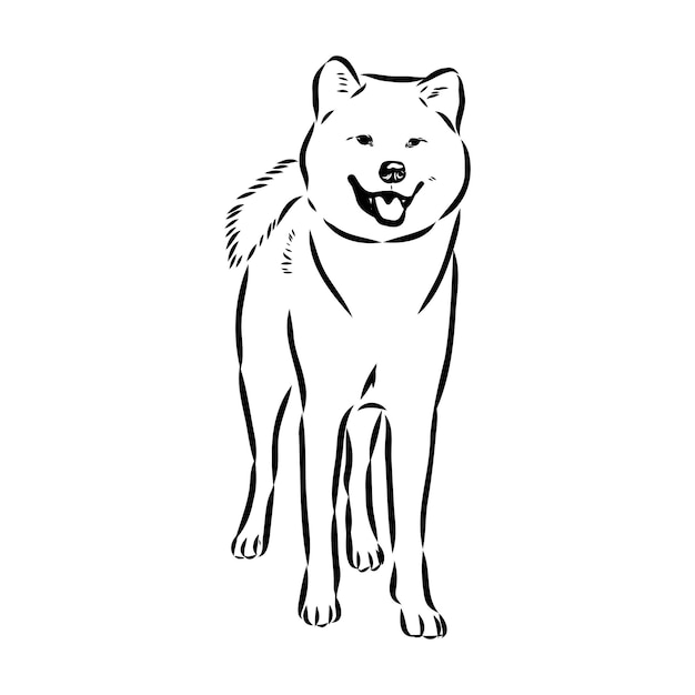 Vector ilustración del contorno vectorial del perro akita inu japonés